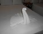 Azz...che benvenuto...dove sono finita???